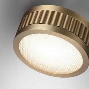 Накладной светильник Odeon Light Manchester 7013/7CL в Заводоуковске - zavodoukovsk.ok-mebel.com | фото 5