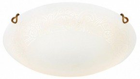 Накладной светильник Sonex Ammonite 7602/DL в Заводоуковске - zavodoukovsk.ok-mebel.com | фото 3