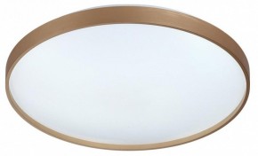 Накладной светильник Sonex Gaby 7783/EL в Заводоуковске - zavodoukovsk.ok-mebel.com | фото 4