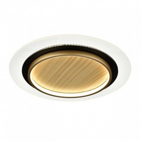 Накладной светильник Sonex Sunny 7731/80L в Заводоуковске - zavodoukovsk.ok-mebel.com | фото 4