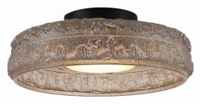 Накладной светильник ST-Luce ANTIKE SL6143.422.01 в Заводоуковске - zavodoukovsk.ok-mebel.com | фото 3