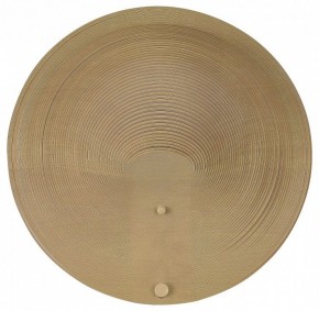 Накладной светильник ST-Luce Fossil SL6900.501.16 в Заводоуковске - zavodoukovsk.ok-mebel.com | фото