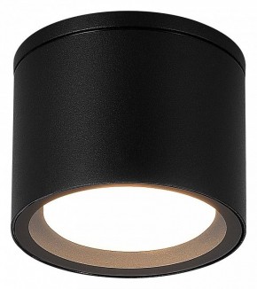 Накладной светильник ST-Luce Tubo SL9006.402.01 в Заводоуковске - zavodoukovsk.ok-mebel.com | фото 2