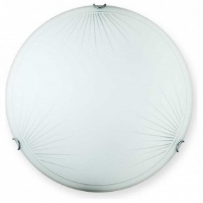 Накладной светильник TopLight Wifa TL9142Y-00WH в Заводоуковске - zavodoukovsk.ok-mebel.com | фото