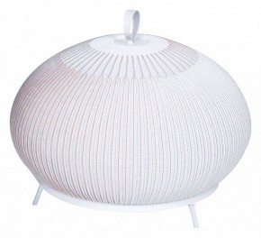 Настольная лампа декоративная Divinare Firefly 1808/33 TL-50 в Заводоуковске - zavodoukovsk.ok-mebel.com | фото