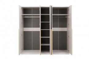 НИКОЛЬ 25 Шкаф 5-ти створчатый в Заводоуковске - zavodoukovsk.ok-mebel.com | фото 3