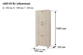 ШО-53 В тумба для обуви в Заводоуковске - zavodoukovsk.ok-mebel.com | фото 8