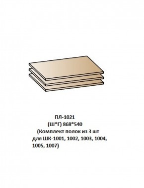ПЛ-1021 (Комплект полок из 3 шт для ШК-1001, 1002, 1003, 1004, 1005, 1007) в Заводоуковске - zavodoukovsk.ok-mebel.com | фото