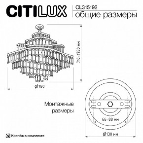 Подвесная люстра Citilux Naiad CL315192 в Заводоуковске - zavodoukovsk.ok-mebel.com | фото 6