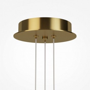 Подвесная люстра Maytoni Arana MOD401PL-L108BS3K в Заводоуковске - zavodoukovsk.ok-mebel.com | фото 7