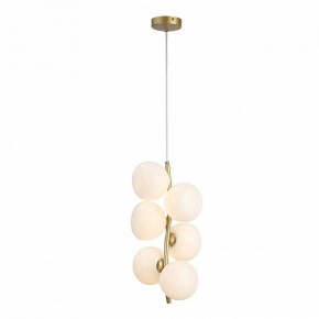 Подвесная люстра ST-Luce Sweven SL1519.303.06 в Заводоуковске - zavodoukovsk.ok-mebel.com | фото 4