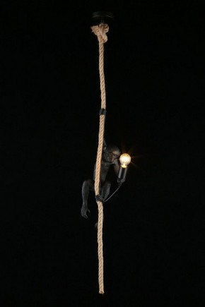 Подвесной светильник Aployt Magali APL.309.16.01 в Заводоуковске - zavodoukovsk.ok-mebel.com | фото 3
