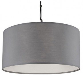 Подвесной светильник Arte Lamp Coppa A4095SP-3GY в Заводоуковске - zavodoukovsk.ok-mebel.com | фото