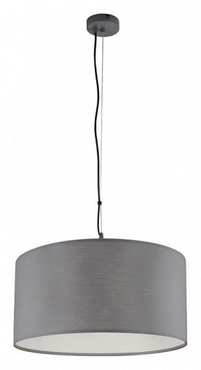 Подвесной светильник Arte Lamp Coppa A4095SP-3GY в Заводоуковске - zavodoukovsk.ok-mebel.com | фото 2