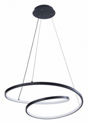 Подвесной светильник Arte Lamp Millo A3893SP-30BK в Заводоуковске - zavodoukovsk.ok-mebel.com | фото 2