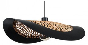 Подвесной светильник Arte Lamp Woodstock A7059SP-1BK в Заводоуковске - zavodoukovsk.ok-mebel.com | фото