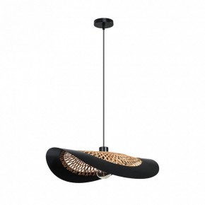 Подвесной светильник Arte Lamp Woodstock A7059SP-1BK в Заводоуковске - zavodoukovsk.ok-mebel.com | фото 2