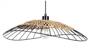 Подвесной светильник Arte Lamp Woodstock A7061SP-1BK в Заводоуковске - zavodoukovsk.ok-mebel.com | фото
