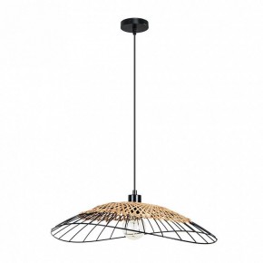 Подвесной светильник Arte Lamp Woodstock A7061SP-1BK в Заводоуковске - zavodoukovsk.ok-mebel.com | фото 2