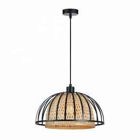 Подвесной светильник Arte Lamp Woodstock A7071SP-1BK в Заводоуковске - zavodoukovsk.ok-mebel.com | фото