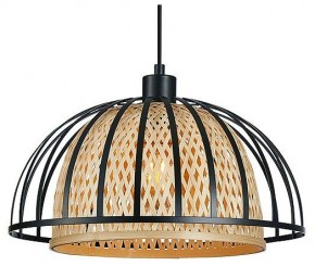 Подвесной светильник Arte Lamp Woodstock A7071SP-1BK в Заводоуковске - zavodoukovsk.ok-mebel.com | фото 2