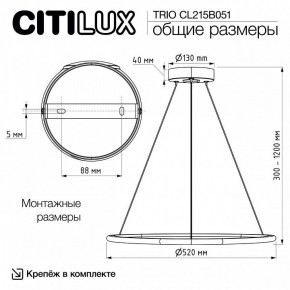 Подвесной светильник Citilux Trio CL215B051 в Заводоуковске - zavodoukovsk.ok-mebel.com | фото 8