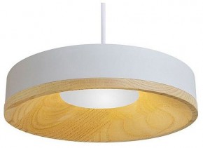 Подвесной светильник Divinare Vaso 5119/33 SP-12 в Заводоуковске - zavodoukovsk.ok-mebel.com | фото