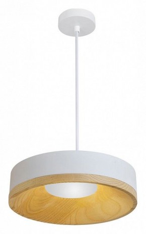 Подвесной светильник Divinare Vaso 5119/33 SP-8 в Заводоуковске - zavodoukovsk.ok-mebel.com | фото 2