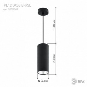 Подвесной светильник Эра  PL12 GX53 BK/SL в Заводоуковске - zavodoukovsk.ok-mebel.com | фото 8