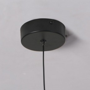 Подвесной светильник Favourite Wilet 4656-1P в Заводоуковске - zavodoukovsk.ok-mebel.com | фото 10