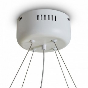 Подвесной светильник Freya Rain FR5546PL-L60W в Заводоуковске - zavodoukovsk.ok-mebel.com | фото 9