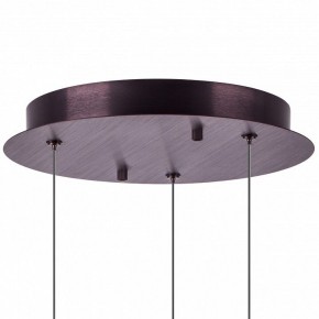 Подвесной светильник Lightstar Caramello 796139 в Заводоуковске - zavodoukovsk.ok-mebel.com | фото 13