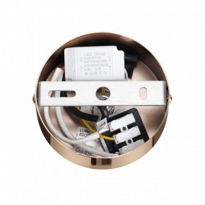 Подвесной светильник Lumion Cristie 8009/6L в Заводоуковске - zavodoukovsk.ok-mebel.com | фото 6