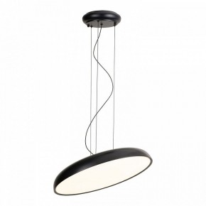 Подвесной светильник Lussole Crook LSP-7360 в Заводоуковске - zavodoukovsk.ok-mebel.com | фото 2