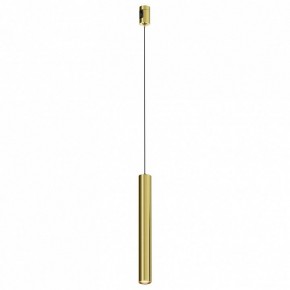 Подвесной светильник Maytoni Focus Led TR155-1-5W3K-BS в Заводоуковске - zavodoukovsk.ok-mebel.com | фото
