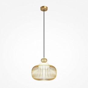Подвесной светильник Maytoni Levitation MOD376PL-01G в Заводоуковске - zavodoukovsk.ok-mebel.com | фото 2