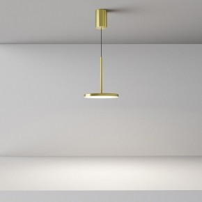Подвесной светильник Maytoni Plato P076PL-L12W4K-BS в Заводоуковске - zavodoukovsk.ok-mebel.com | фото 4