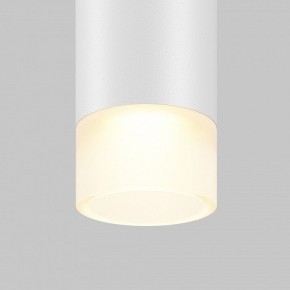 Подвесной светильник Maytoni Skim TR191-1-3W3K-M-BW в Заводоуковске - zavodoukovsk.ok-mebel.com | фото 2