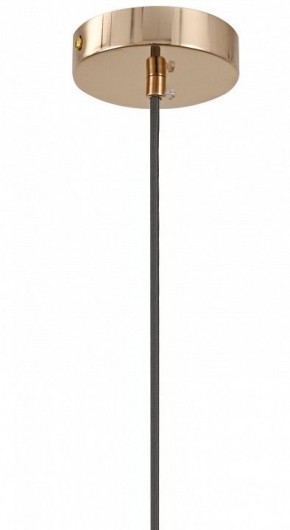 Подвесной светильник Moderli Charm V11176-1P в Заводоуковске - zavodoukovsk.ok-mebel.com | фото 8