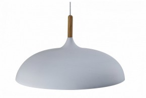 Подвесной светильник Moderli Hygo V11447-1P в Заводоуковске - zavodoukovsk.ok-mebel.com | фото