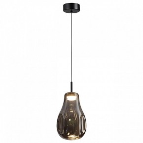 Подвесной светильник Odeon Light Nave 5098/4LC в Заводоуковске - zavodoukovsk.ok-mebel.com | фото 2