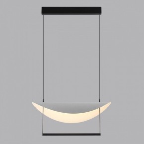 Подвесной светильник Odeon Light Next 7015/20L в Заводоуковске - zavodoukovsk.ok-mebel.com | фото 4