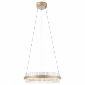 Подвесной светильник ST-Luce Cherio SL383.203.01 в Заводоуковске - zavodoukovsk.ok-mebel.com | фото 3