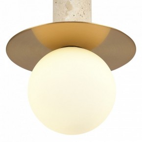 Подвесной светильник ST-Luce Earthy SL1194.303.01 в Заводоуковске - zavodoukovsk.ok-mebel.com | фото 5