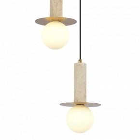 Подвесной светильник ST-Luce Earthy SL1194.303.03 в Заводоуковске - zavodoukovsk.ok-mebel.com | фото 4