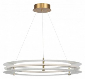 Подвесной светильник ST-Luce FAGY SL6245.203.01 в Заводоуковске - zavodoukovsk.ok-mebel.com | фото 3