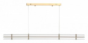 Подвесной светильник ST-Luce FAGY SL6245.223.01 в Заводоуковске - zavodoukovsk.ok-mebel.com | фото 3