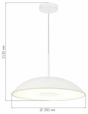 Подвесной светильник ST-Luce Lido SL6128.503.01 в Заводоуковске - zavodoukovsk.ok-mebel.com | фото 4