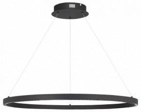 Подвесной светильник ST-Luce PARILLA SL6238.443.01 в Заводоуковске - zavodoukovsk.ok-mebel.com | фото 3