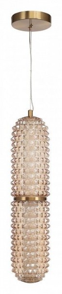 Подвесной светильник ST-Luce SAGUARO SL6144.303.01 в Заводоуковске - zavodoukovsk.ok-mebel.com | фото 3